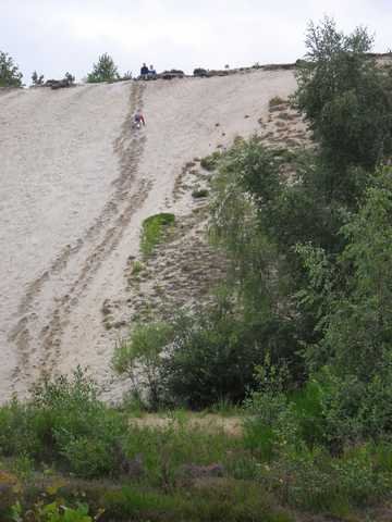 dc-2010-0439