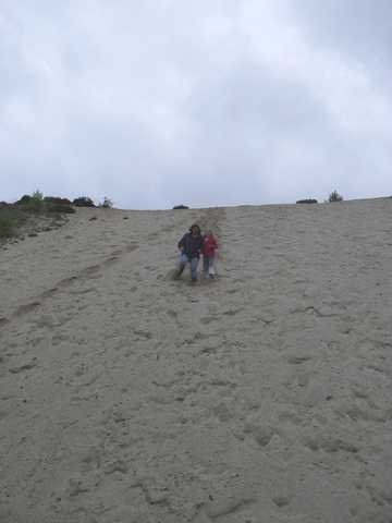 dc-2010-0447