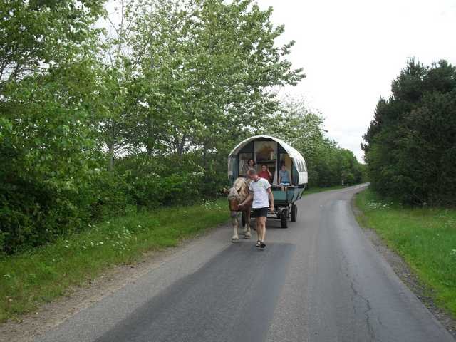 dc-2010-0456