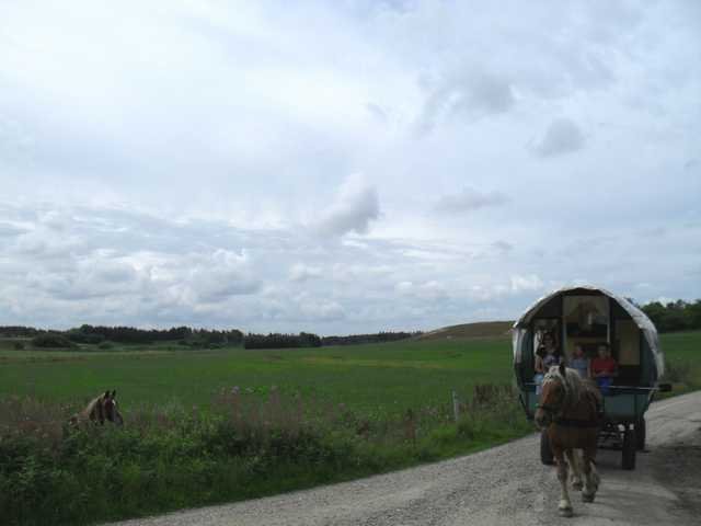 dc-2010-0481