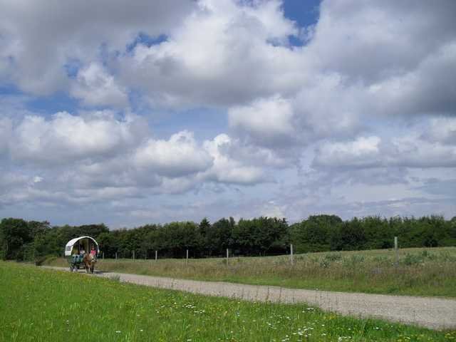 dc-2010-0523