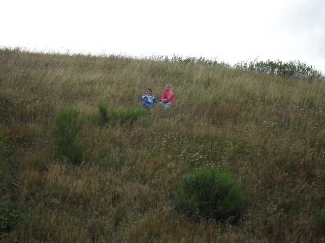 dc-2010-0529