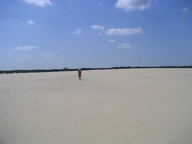 dc-2004-0428