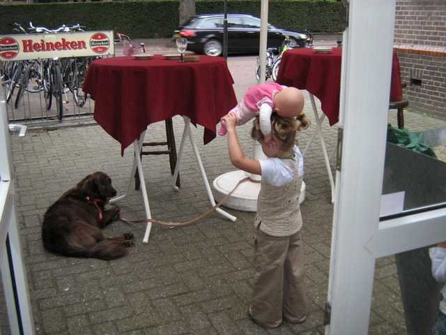 IMG 1610