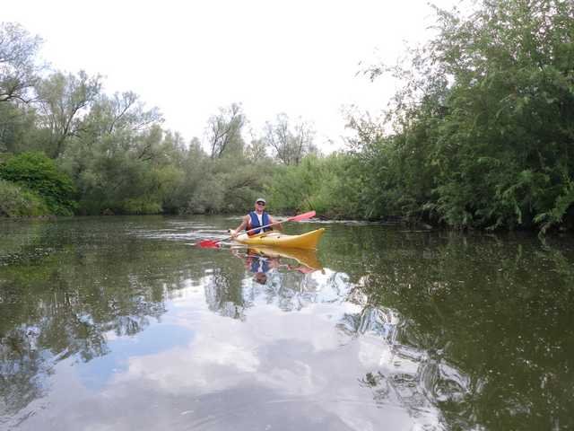 biesbosch