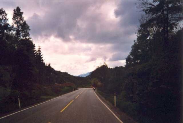 99-006-10