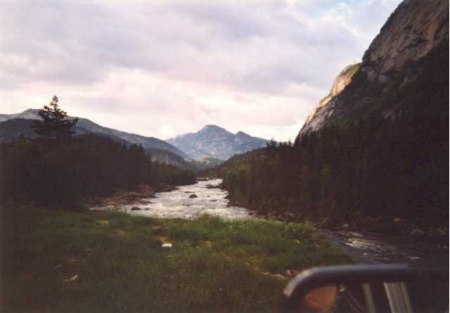 99-006-20