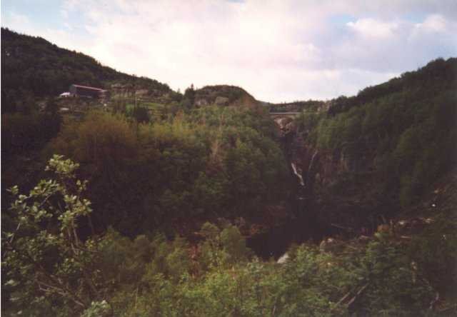99-006-21