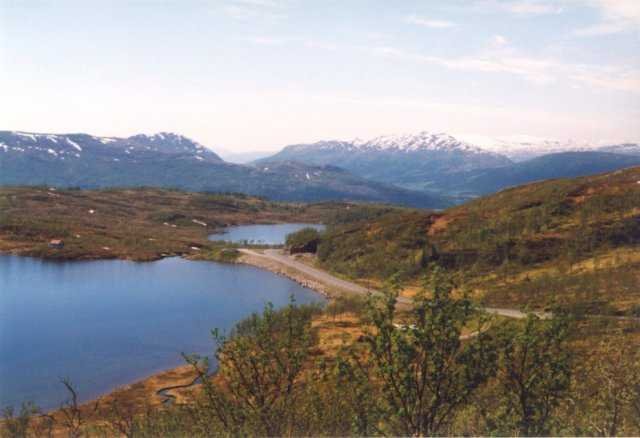 99-007-03a