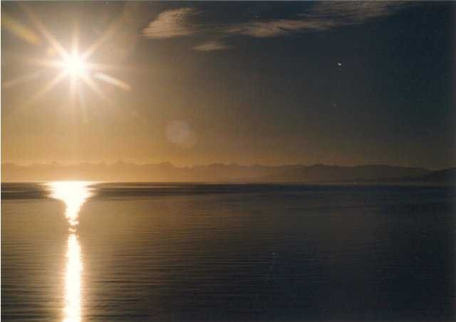 99-007-20a