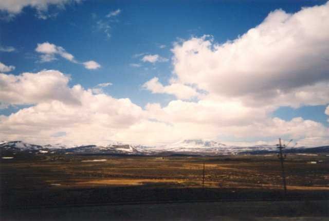 99-008-01