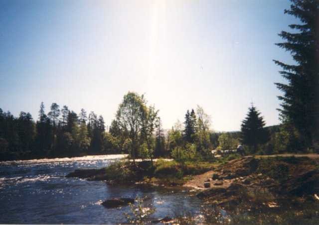 99-008-03