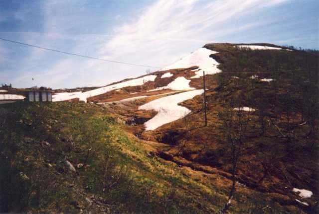 99-008-06