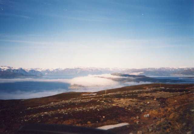 99-008-24