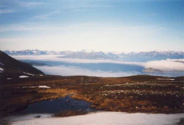 99-008-25