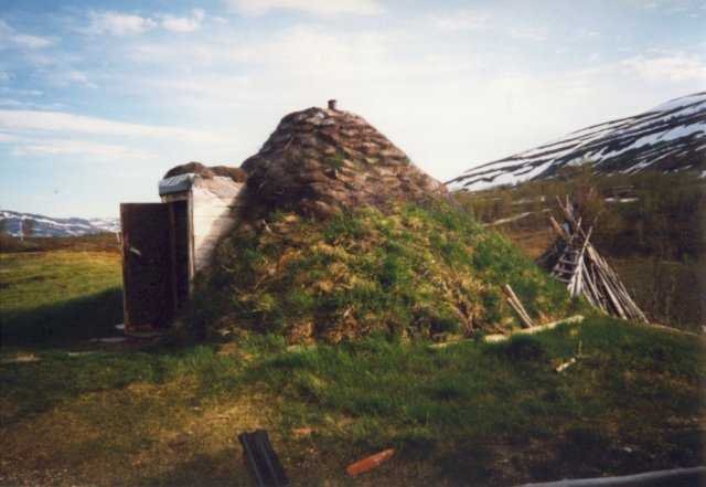 99-008-31