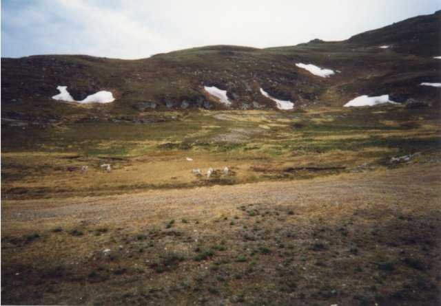 99-008-33