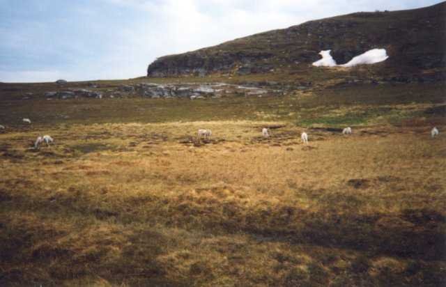 99-008-35
