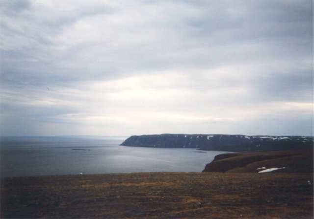 99-008-37