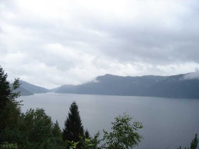 dc-2005-0497