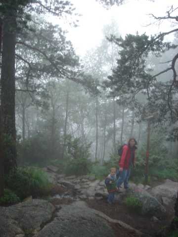 dc-2005-0506