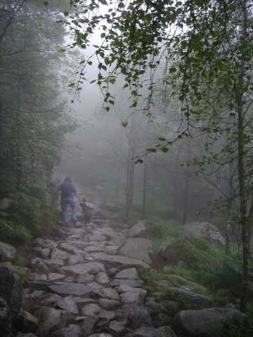 dc-2005-0507