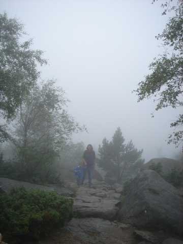 dc-2005-0508