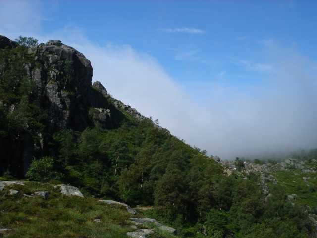 dc-2005-0516
