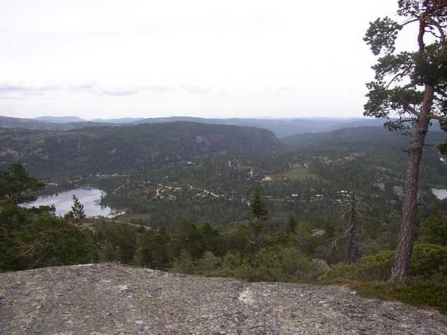 dc-2009-0264
