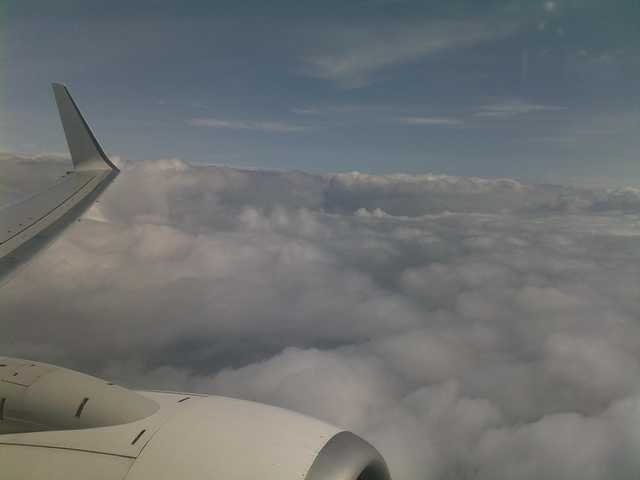 dc-2009-0281
