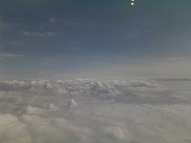 dc-2009-0282